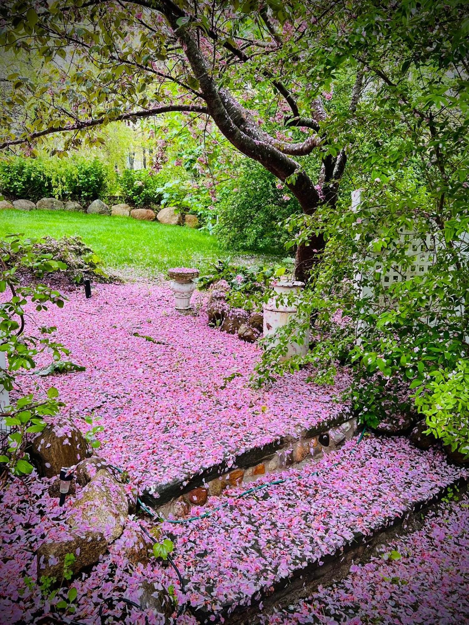 Frederick William House Hotel Falmouth Bagian luar foto