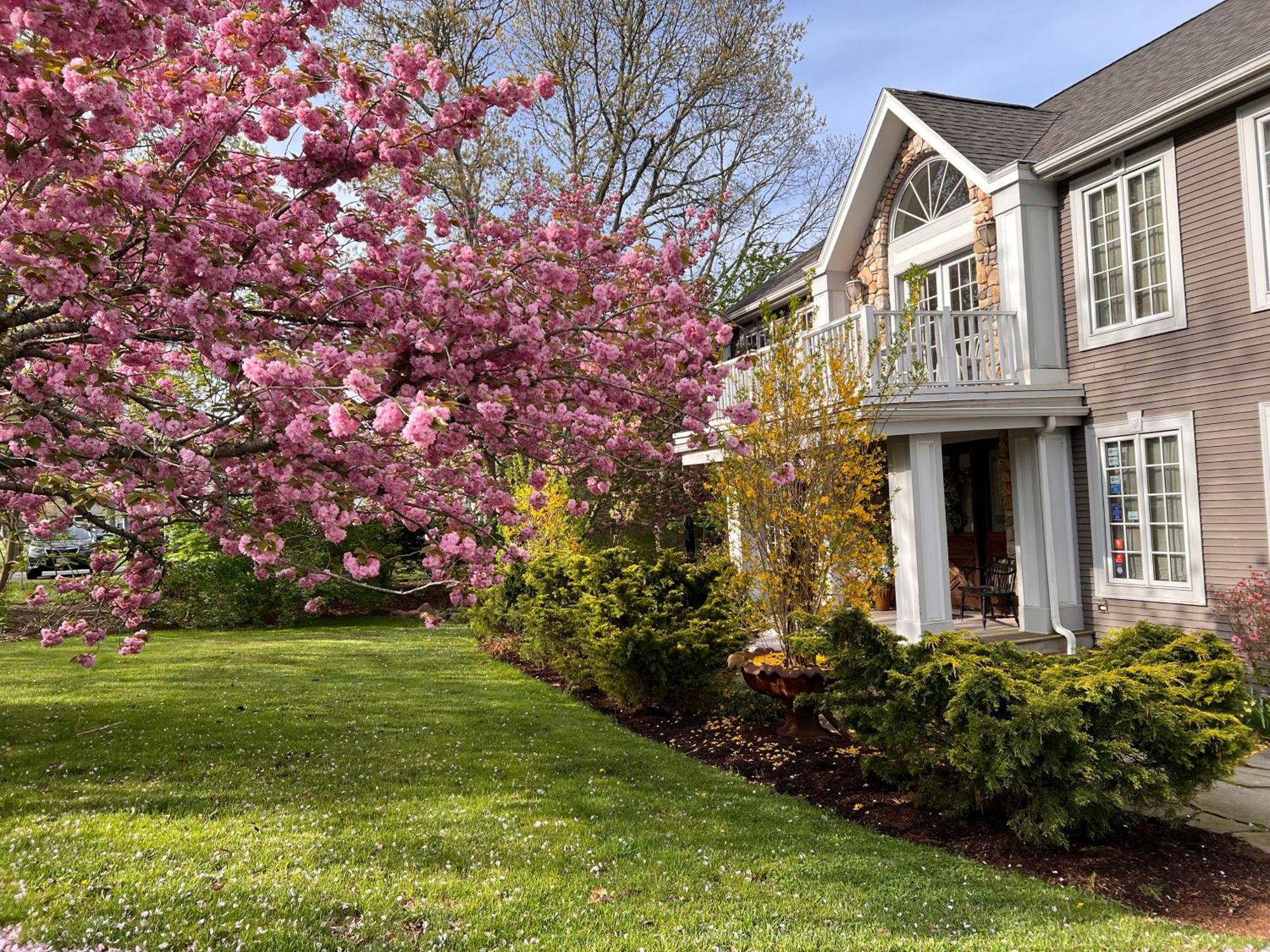 Frederick William House Hotel Falmouth Bagian luar foto
